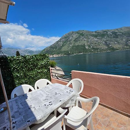 Apartmani Markovic Kotor Quarto foto